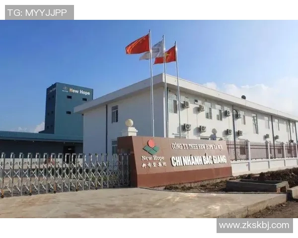 平福与清化的对比分析及其对未来发展的影响探讨